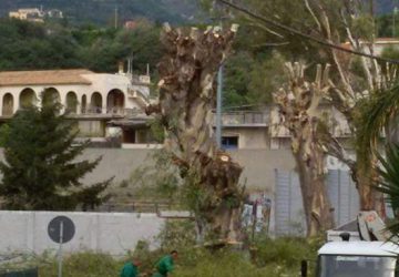 Mascali, al via messa in sicurezza arbusti