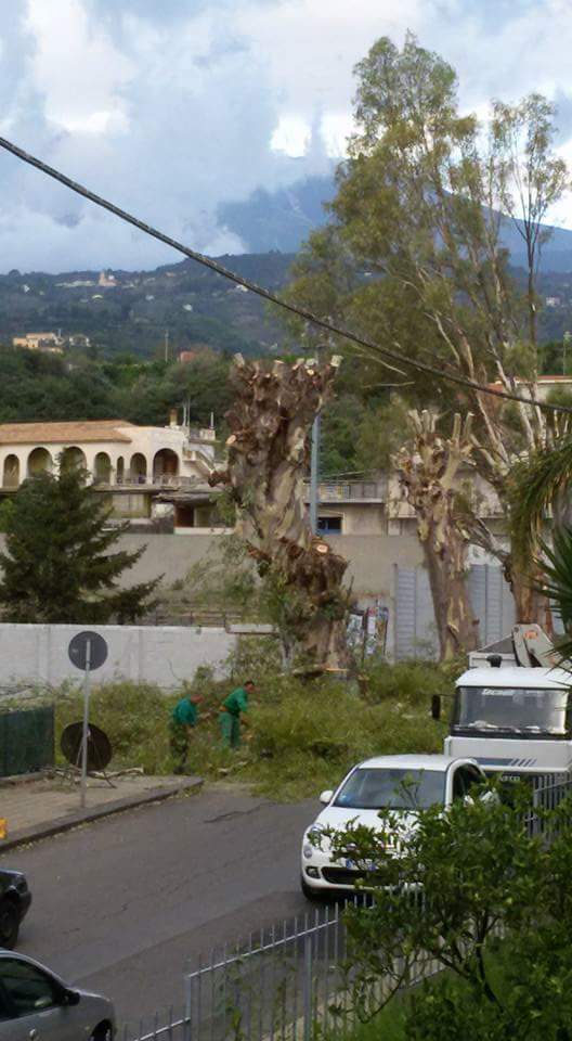 Mascali, al via messa in sicurezza arbusti