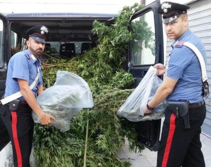 Acireale: arrestato coltivatore di marijuana