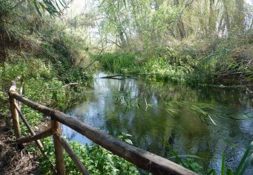 Riserva naturale di Fiumefreddo, verso una gestione affidata ai Comuni