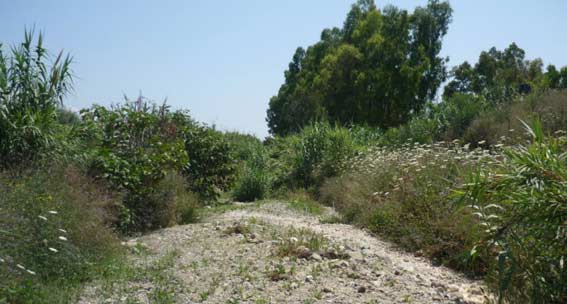 Calatabiano: torrente S. Antonio a rischio
