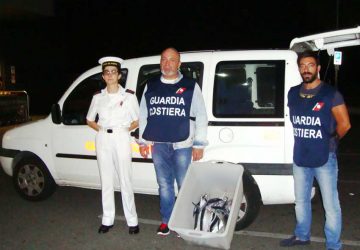 Acireale: sequestrati e distrutti 8 esemplari di pesce spada &ldquo;novello&rdquo;. Sanzioni per &euro; 10.000