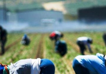Falsi braccianti agricoli: truffa all&rsquo;Inps per 1,5 milioni di euro. Denunciate 298 persone