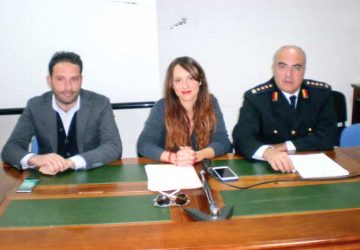 Acireale: nuova strategia per la lotta al randagismo