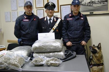 Nunziata, 17enne nascondeva nel proprio giardino 18 chili di ‘erba’