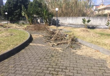 Giarre aree a verde sommerse da sfalci di potature non rimossi