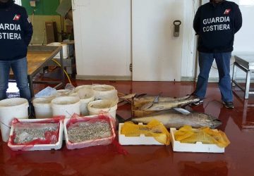 Riposto: sequestrati 300 kg di pesce e novellame pescati illegalmente. Elevate sanzioni per 35.000 euro