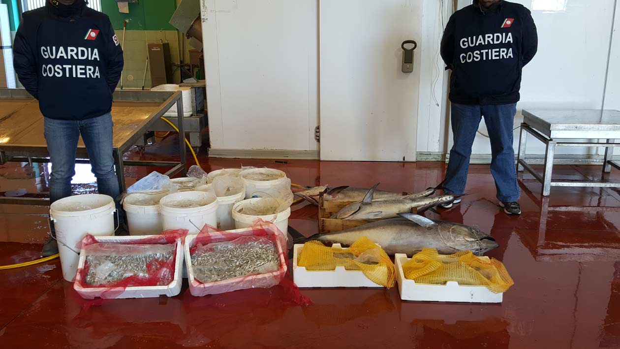 Riposto: sequestrati 300 kg di pesce e novellame pescati illegalmente. Elevate sanzioni per 35.000 euro