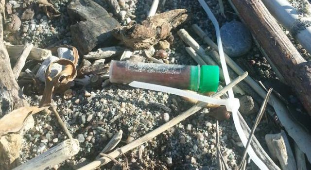 Una giornata di sole, una passeggiata in spiaggia con… siringhe e provette FOTO
