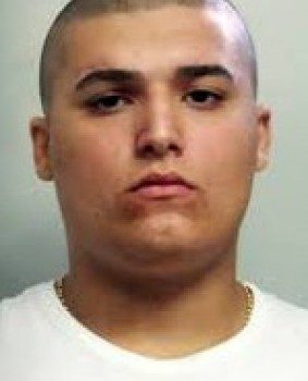 Furti con  “spaccata”, sgominata banda specializzata: 11 arresti I NOMI LE FOTO VIDEO