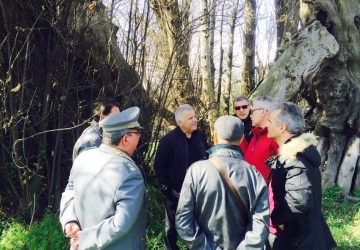 Sant'Alfio: 11.000 insetti per salvare il Castagno dei Cento cavalli