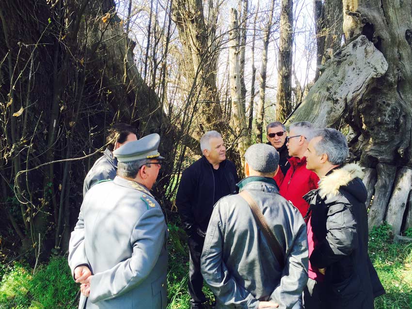 Sant’Alfio: 11.000 insetti per salvare il Castagno dei Cento cavalli