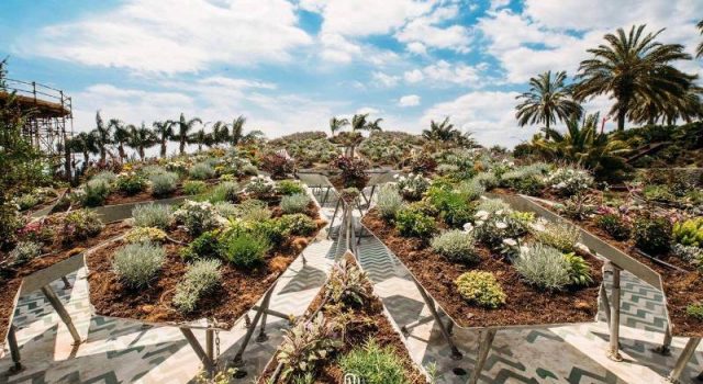 Inaugurata la prima edizione della biennale Radicepura Garden Festival  VIDEO