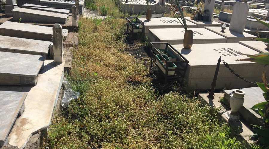 Giarre, il cimitero nel degrado: cittadini indignati VIDEO INCHIESTA
