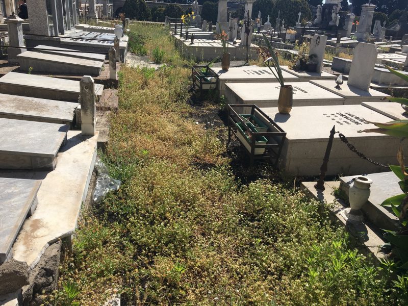 Giarre, il cimitero nel degrado: cittadini indignati VIDEO INCHIESTA