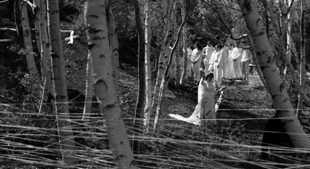 G37: successo di pubblico e di critica per il summit mondiale della poesia