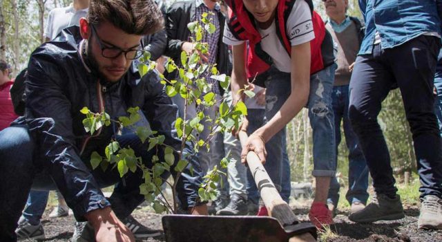 G37: successo di pubblico e di critica per il summit mondiale della poesia