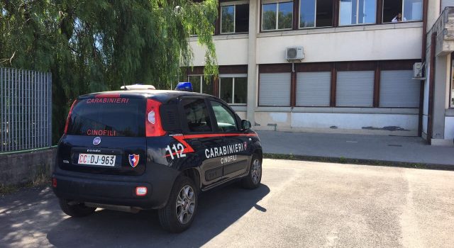 Giarre, nuovi controlli antidroga al Liceo Scientifico: rinvenute cinque dosi di marijuana VIDEO