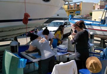 Riposto: inaugurata questa mattina al porto turistico la IX^ rassegna artistica &ldquo;I colori del mare&rdquo;