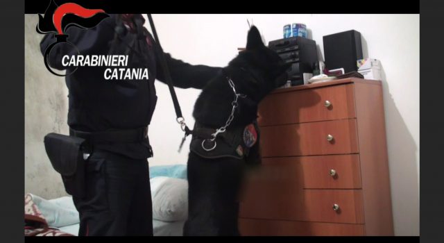 Acireale operazione antidroga dei carabinieri a San Cosimo: 11 arresti I NOMI FOTO VIDEO