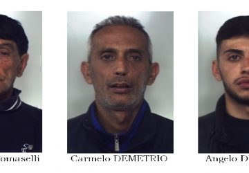 Sorpresi a rubare limoni a Pozzillo. Arrestati in tre