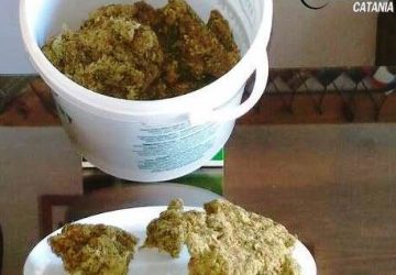 Nicolosi: arrestato impiegato insospettabile sorpreso con mezzo chilo di marijuana