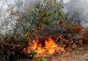 Rischo incendi a San Giovanni Galermo: necessari interventi per ridurre i pericoli