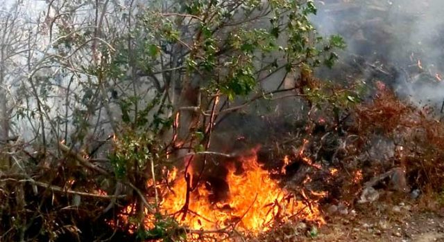 Rischo incendi a San Giovanni Galermo: necessari interventi per ridurre i pericoli