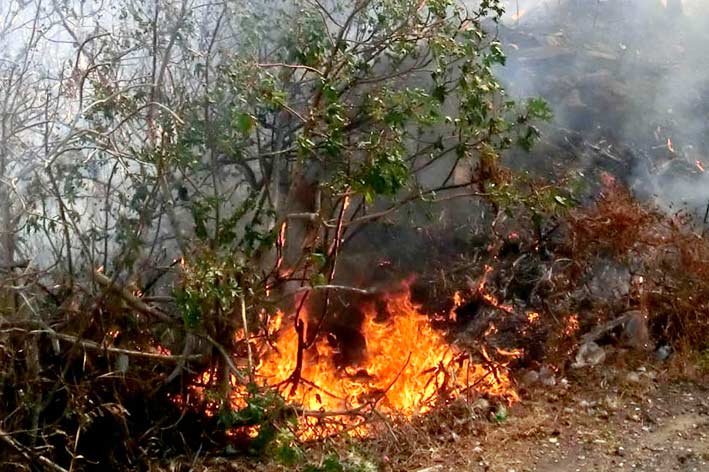 Santa Venerina, incendio in un terreno di via Presti