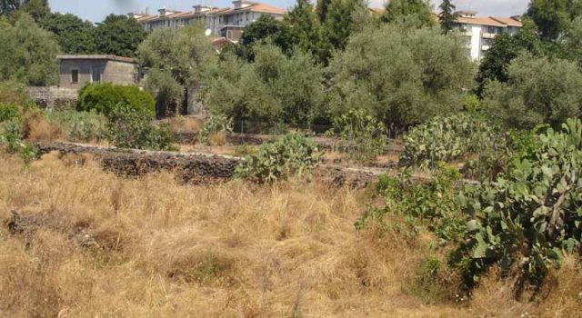 Rischo incendi a San Giovanni Galermo: necessari interventi per ridurre i pericoli