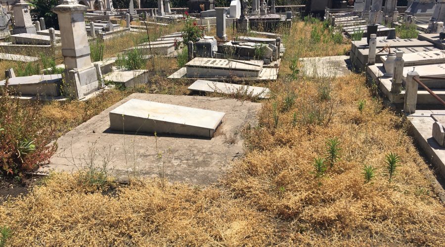 Degrado cimitero di Giarre: la necropoli di Trepunti è sepolta dalle erbacce