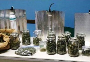Cittadino statunitense deteneva a casa 1 kg di marijuana. Arrestato