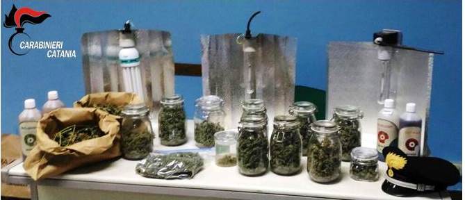 Cittadino statunitense deteneva a casa 1 kg di marijuana. Arrestato