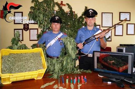 Belpasso, maxi piantagione di marijuana: arrestati per una condanna a quasi 3 anni di carcere