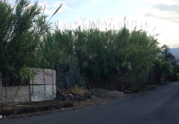 Mascali: sopralluogo della III commissione a Fondachello. Urgono interventi per la sicurezza ed il decoro