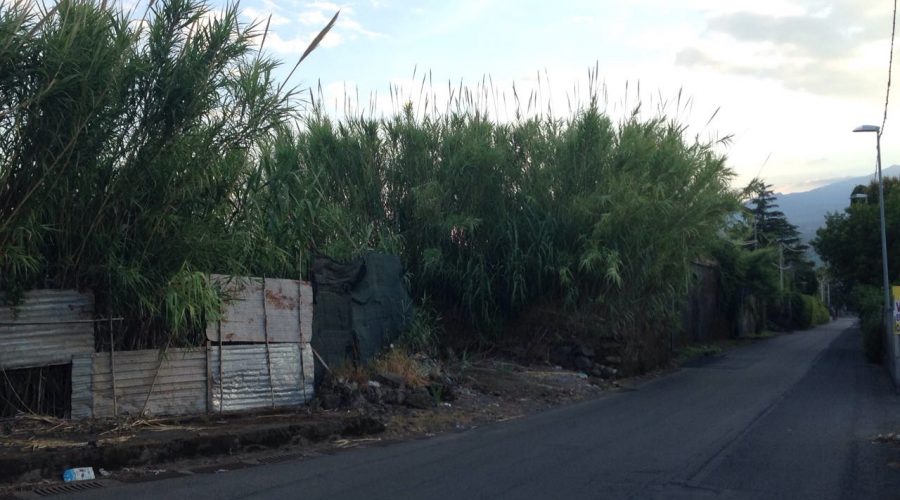 Mascali: sopralluogo della III commissione a Fondachello. Urgono interventi per la sicurezza ed il decoro