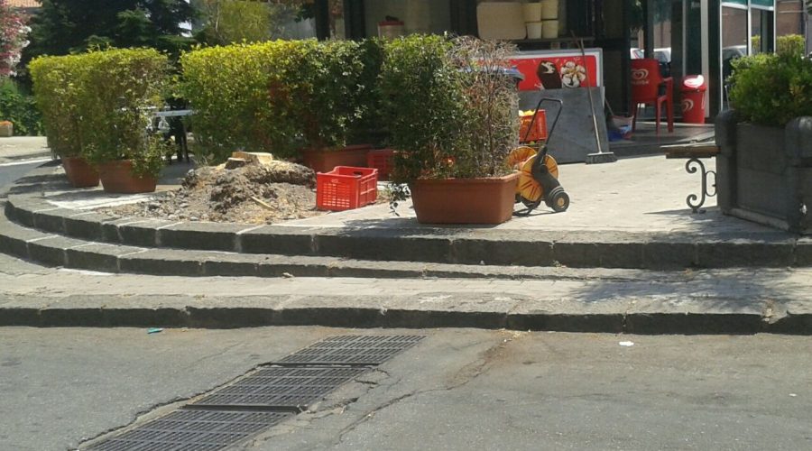 Altarello, tranciati da ignoti due alberi della piazzetta