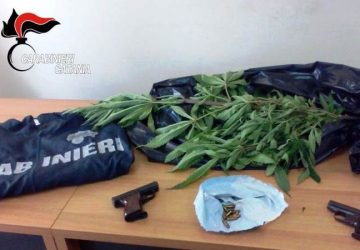Lui nascondeva le armi mentre la giovane badante si dedicava a coltivare &ldquo;erba&rdquo;: Arrestati