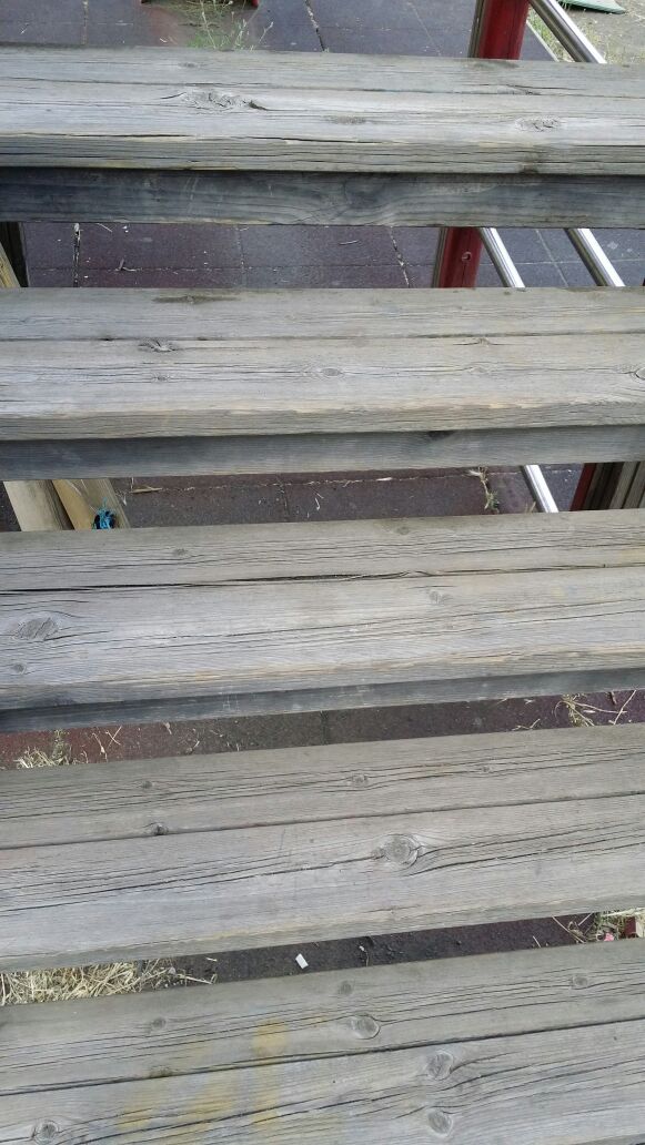 bambinopoli pedara (3)