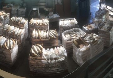 Acireale, sequestrati oltre 18mila chili di prodotto ittico privo di tracciabilit&agrave;