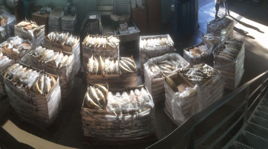 Acireale, sequestrati oltre 18mila chili di prodotto ittico privo di tracciabilità