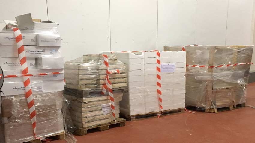 Controlli della Guardia Costiera: sequestrati 2.200 kg di prodotto ittico ad un’azienda dell’acese