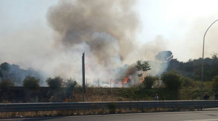 Allarme incendi, intervento della Forestale a Marina di Cottone e S.Antonino LA DIRETTA