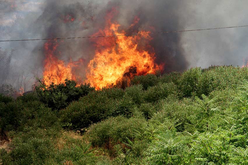 Oasi del Simeto, vasto incendio: intervento della Forestale