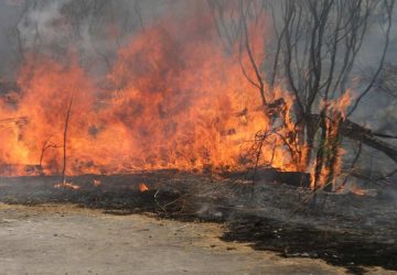 Randazzo: da fuoco alle sterpaglie rimanendo intrappolato tra le fiamme. Salvato dai carabinieri