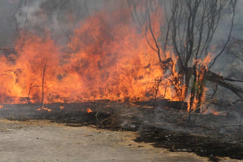 Randazzo: da fuoco alle sterpaglie rimanendo intrappolato tra le fiamme. Salvato dai carabinieri
