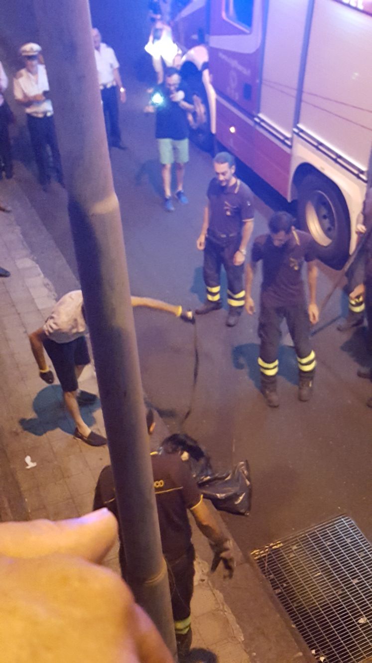 Carrubba, caccia alla serpe in strada: intervengono i vigili del fuoco