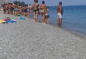 Allarme squali a Recanati: i bagnini fanno scattare il divieto di balneazione