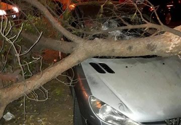 San Giovanni Montebello: grosso ramo si stacca. Sfiorata tragedia