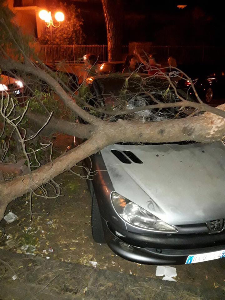 San Giovanni Montebello: grosso ramo si stacca. Sfiorata tragedia
